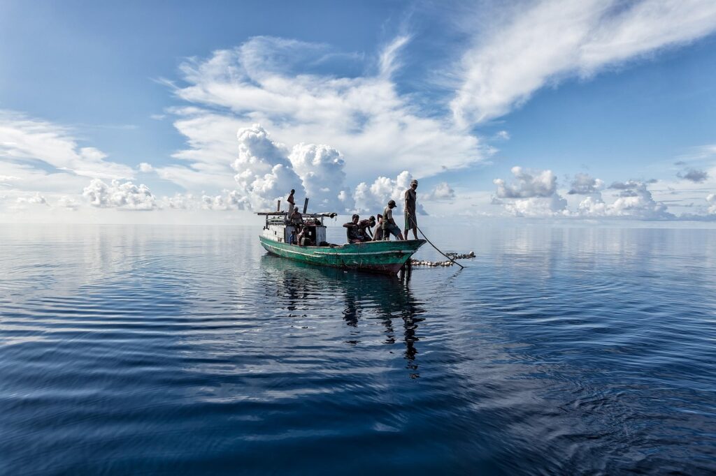 Top Earbuds for Crystal Clear Sound and Deep Bass landscape, tropical, sea, halmahera sea, fishing, fish boat, the web, nature, bajau people, indonesia
